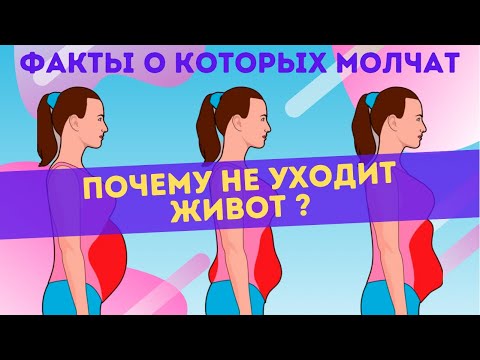 Почему НЕ УХОДИТ ЖИВОТ? Неочевидные причины и способы избавиться от жира на животе и боках