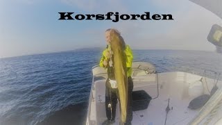 Stor Lange Tatt I Korsfjorden På Havstang