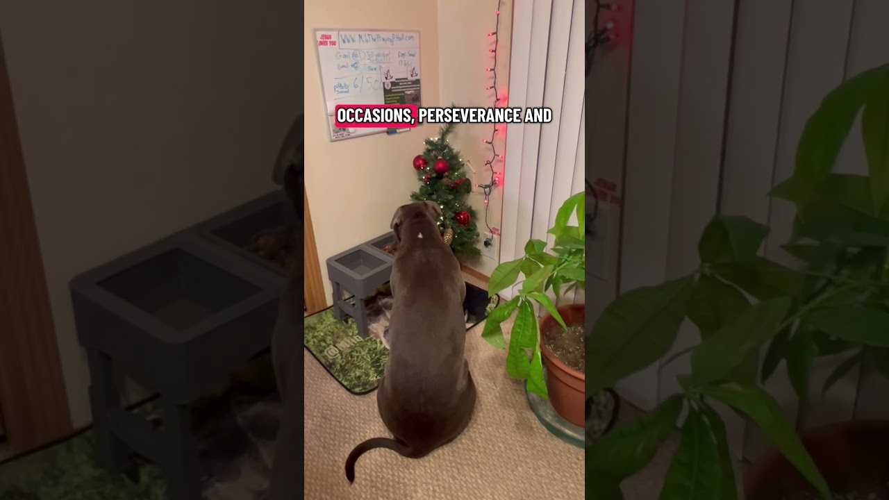 praying always with all prayer & supplication in the Spirit, being watchful to this end… 