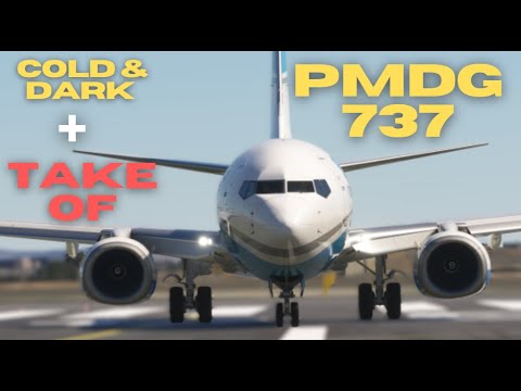 PMDG 737 COLD AND DARK | Poradnik | MSFS2020 - YouTube