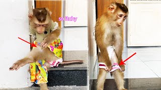Monkey LyLy was itchy and uncomfortable so she bathed herself without her mother