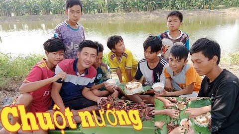 Thọ Vlogs| Bắt Chuột Mùa Gặt Lúa_ Bữa Ăn Siêu Ngon Cho Cả Team