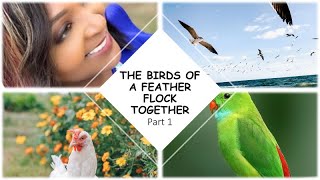 THE BIRDS OF A FEATHER FLOCK TOGETHER 🦅🙏🏽🥰