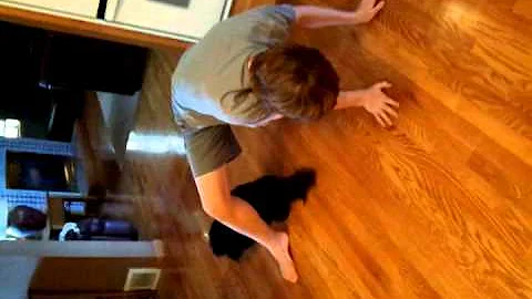 Dizzy Lizzie