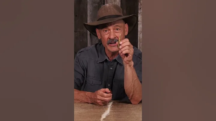 The 270 Winchester is BETTER than the 30-06.