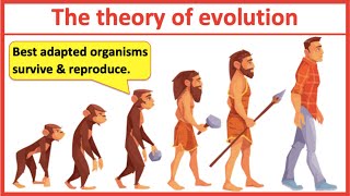 The theory of evolution & natural selection | Learn with examples