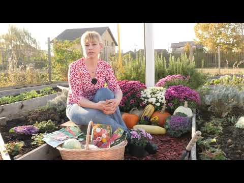 Video: Noiembrie în Grădină și în Grădină