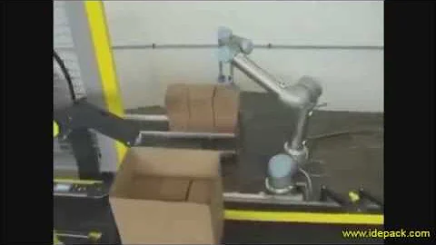 Universal Robot - Case Packer