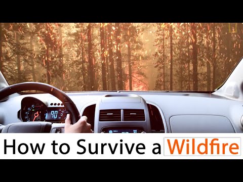 Cara Survive a Wildfire?