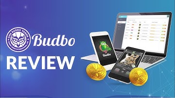 What is Budbo? How to get maximum profit from Budbo?