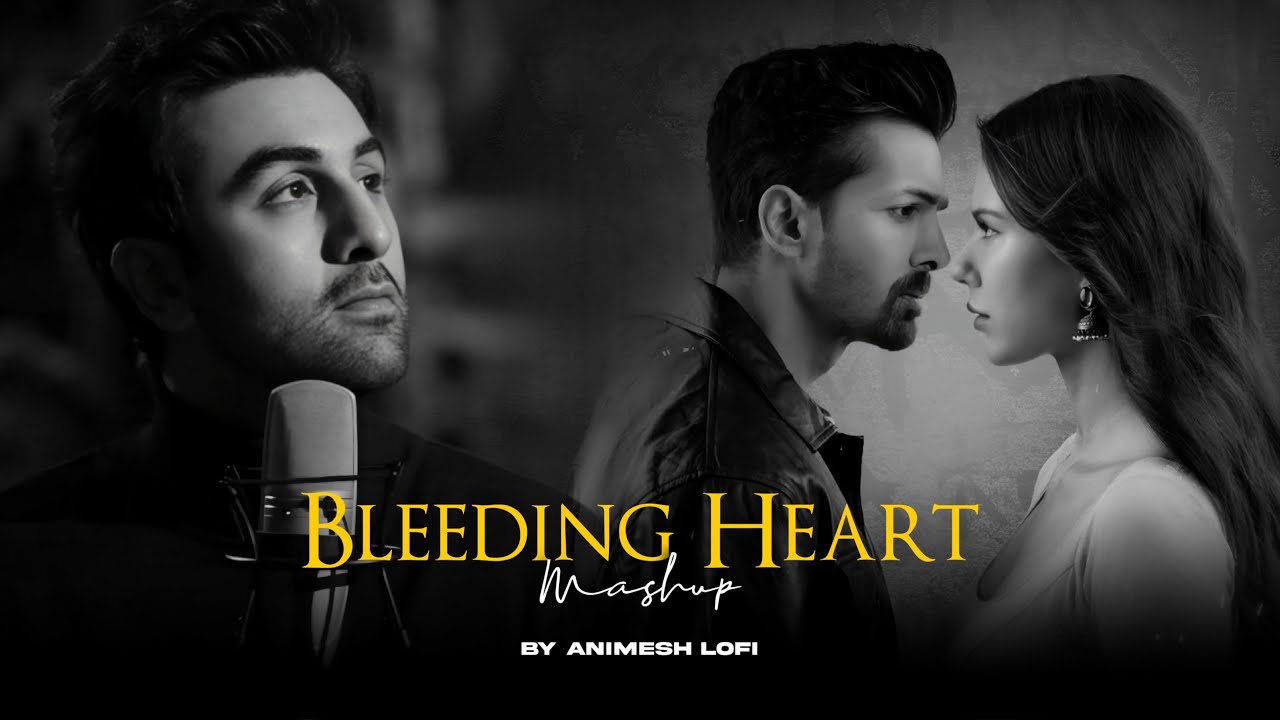 Bleeding Heart Mashup | Deewaniyat x Teri Meri | Sadness Chillout | Animesh Lofi