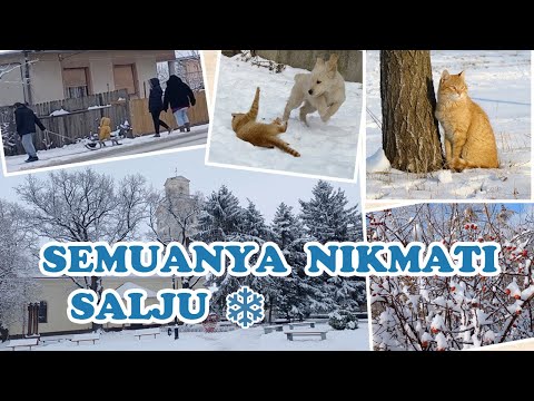 Video: Apakah salju turun di hongaria?