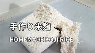 【米麹(米こうじ)の作り方】タッパー1つで手軽に自家製の米麹を作ります。 HOMEMADE KOJI RICE (Fermented Rice) 米麹(日式酒酿，曲霉)