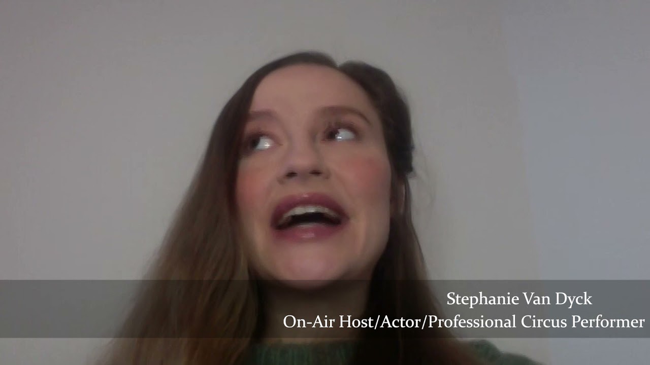 Ignite Inc. Stephanie Van Dyck: Speaker Qualities