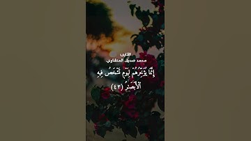 سورة ابراهيم آيه ٤٢#القرآن_الكريم #العراق #اكسبلور #الجزائر #لايك #تيك_توك #المغرب #راحة_نفسية #مصر