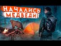 УХОЖУ ДАЛЬШЕ В ЛЕС. МЕДВЕДЕЙ ВСЁ БОЛЬШЕ. ПОХОД, АБВГАТ