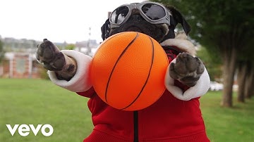 Fall Out Boy - Irresistible (Starring Doug The Pug) ft. Demi Lovato