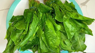 видео: КАК ГОТОВИТЬ ШПИНАТ ЧУДУ СУПЕР РЕЦЕПТЫ ЛЕГКО И ВКУСНО так ещё не готовили новогодний стол 2022 картинка: КАК ГОТОВИТЬ ШПИНАТ ЧУДУ СУПЕР РЕЦЕПТЫ ЛЕГКО И ВКУСНО так ещё не готовили новогодний стол 2022