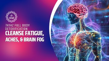 Cleanse Fatigue, Aches, & Brain Fog for Higher Energy | 741Hz Full Body Detoxification