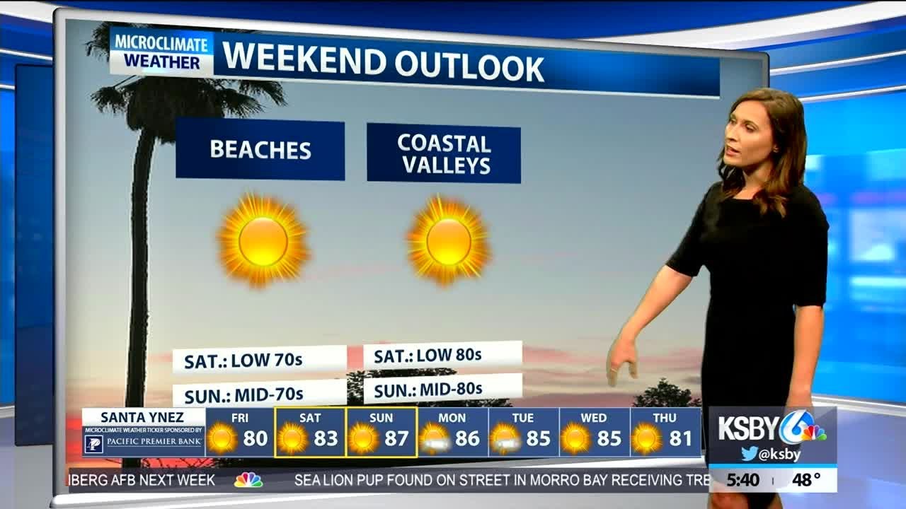 Patchy morning fog before afternoon clearing - YouTube