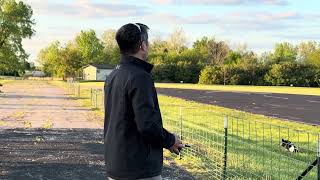 Flying RC plane 