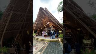 Transformasi restaurant bambbu super mewah #bambu #bangunanbambu #bambooarchitecture #bambooart
