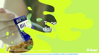 Bil 13