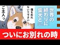 【世界の終わりに柴犬と】名言切り抜き#21 別れのとき