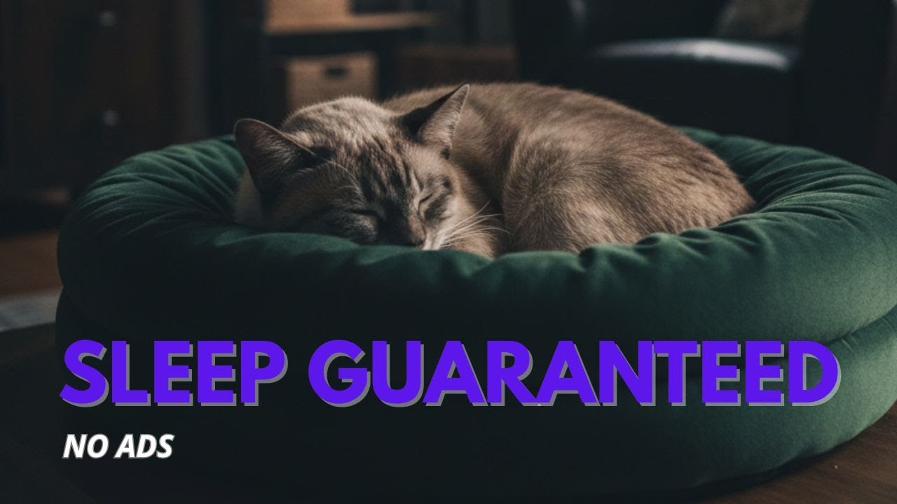 Cat Sleep Music | Deep Relaxation | Anxiety Relief | No Ads, Sleep Guaranteed