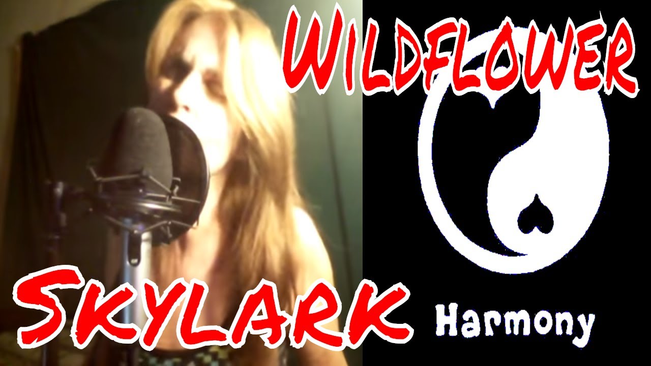 Wildflower Karaoke Cover YouTube