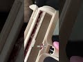 🐾 Chom Chom Roller – Reusable Pet Hair Remover for Furniture, Carpet, Clothes & More! 🧼