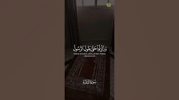 الشيخ وديع اليمني تلاوة في قمة الابداع والجمال أم حسبتم أن تدخلوا الجنة وديع اليمني ارح قلبك 