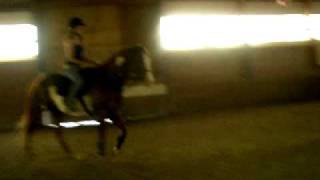 Colleen & Justin Trot 1