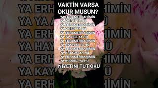 Kiymetli̇ Zi̇ki̇rleri̇ Oku