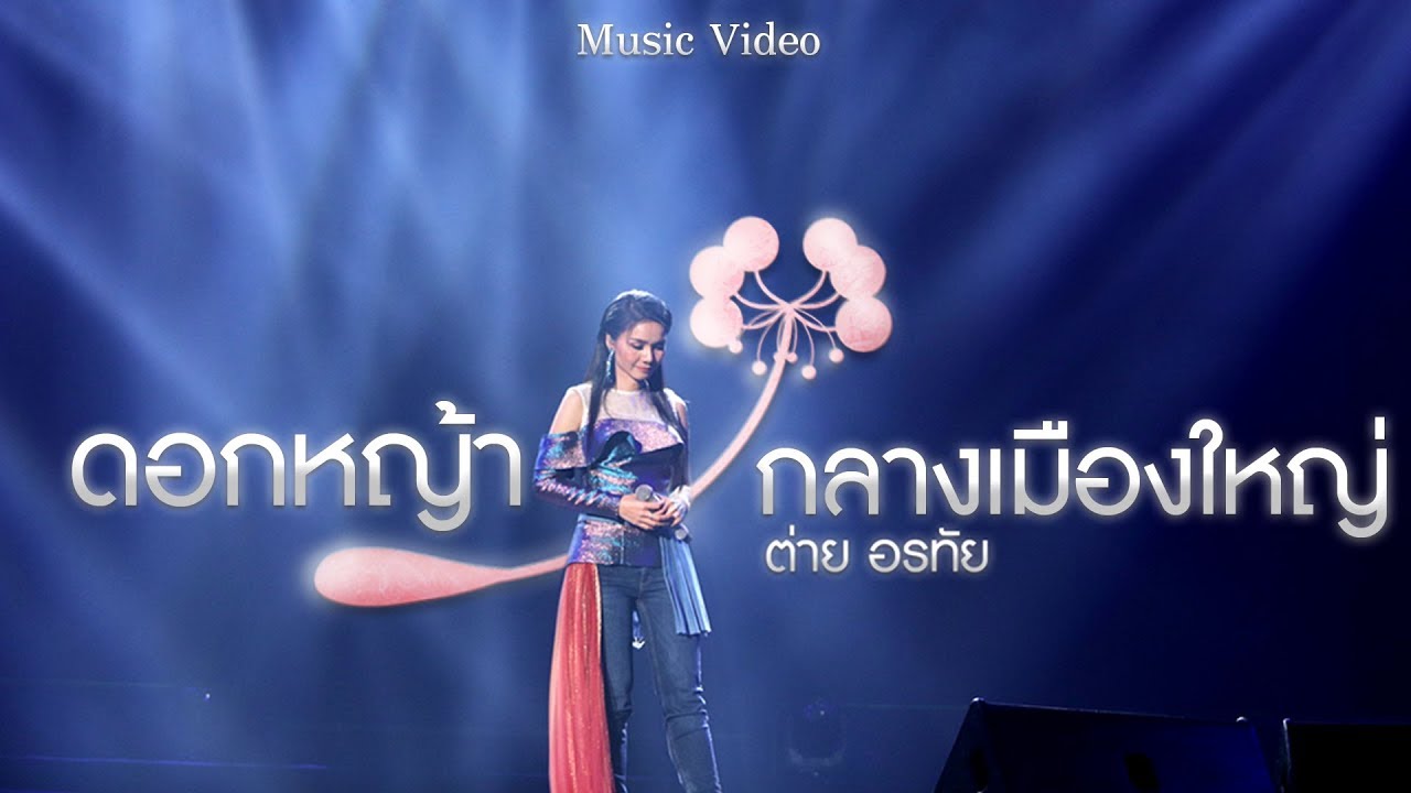 ดอกหญ้ากลางเมืองใหญ่ - ต่าย อรทัย【MUSIC VIDEO】