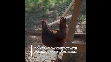 APHIS Biosecurity for Birds   Keep Your Distance