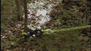 Brushgrubber Bg01 From Baileysonline