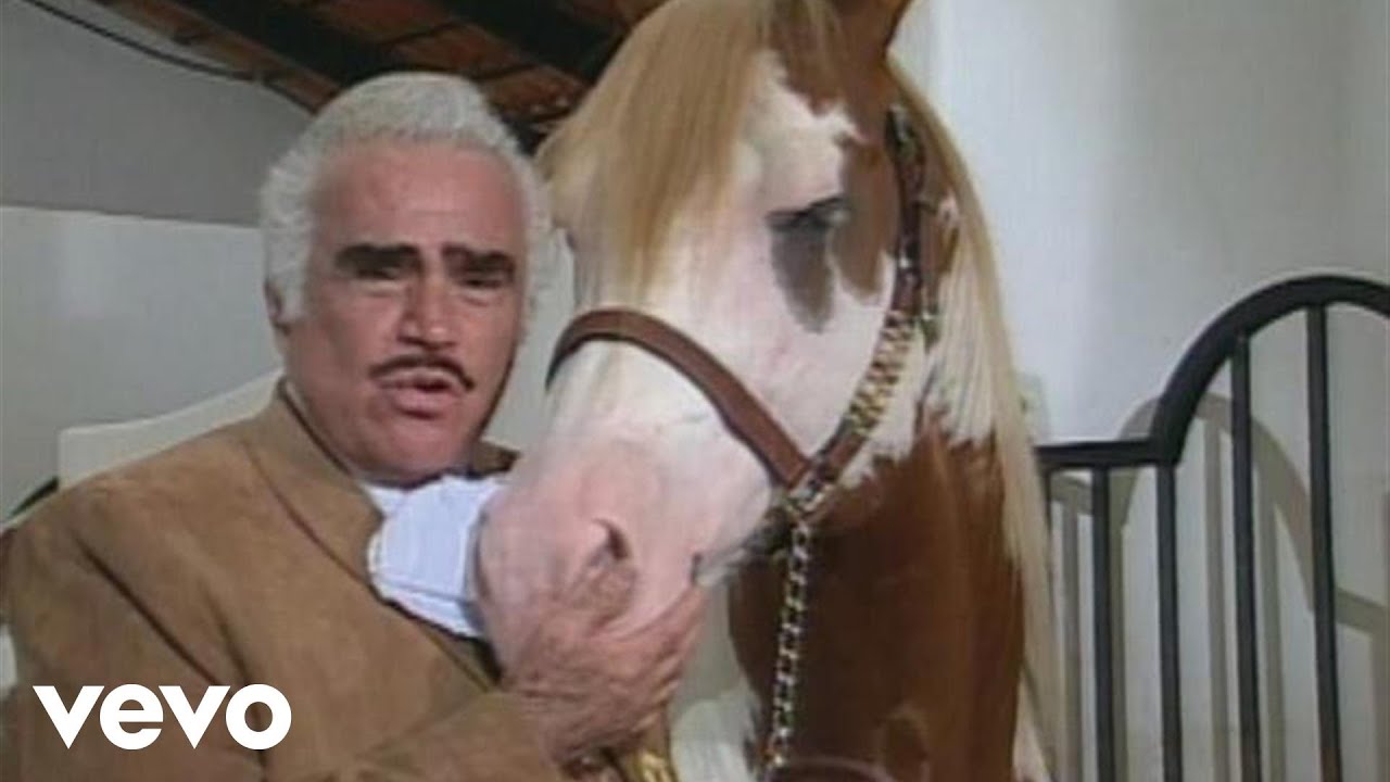 Vicente Fernández - Mala