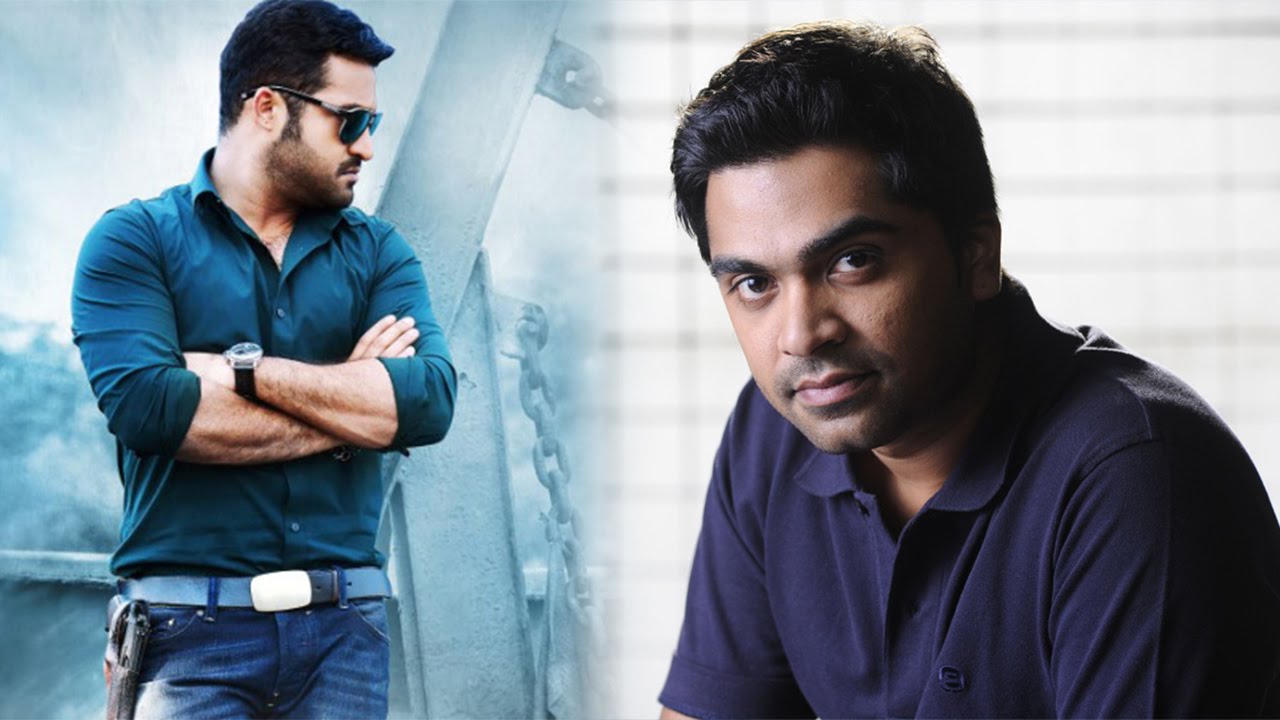 Simbu To Do Remake Of Temper | Jr Ntr | Latest Tamil Movies News 2016