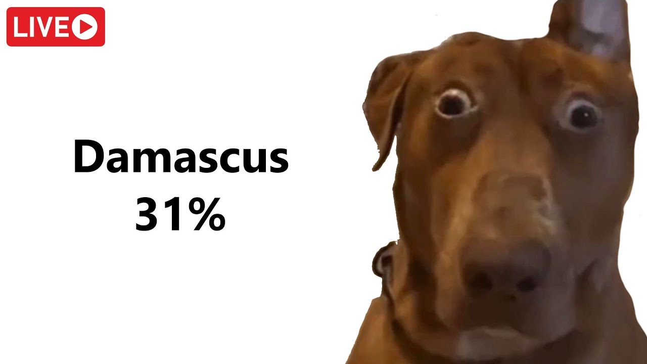🔴Damascus 31% (62-100%) 🔴 Day 2 🔴 Stream (29/365) 🔴