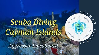Aggressor Liveaboard Diving Grand Cayman