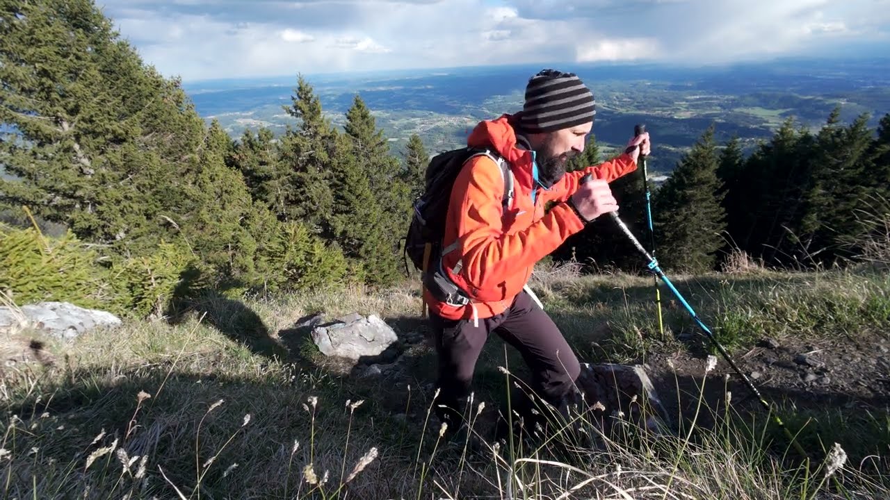 Calming Sunday on the Mountain with Chamois (only ambient sounds) 