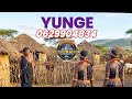    0629904834   2026