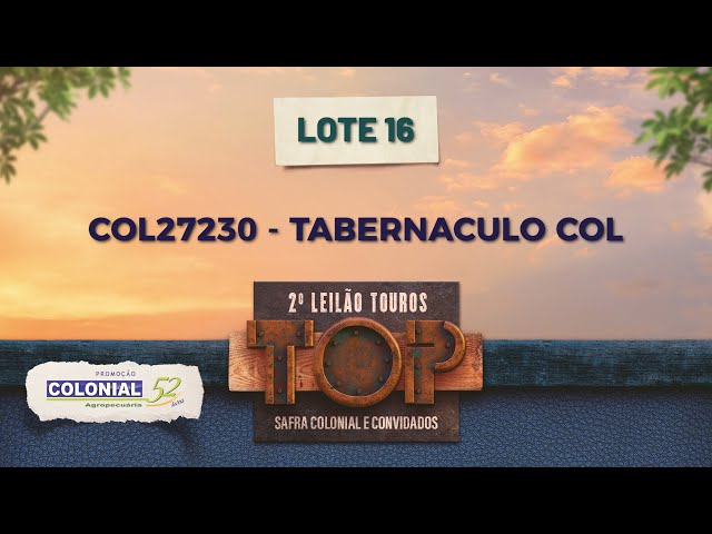 LOTE 16 COL 27230