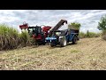 Sugarcane harvesting load into tractor |new holland tractor| |ss saikumar| |tractor videos|