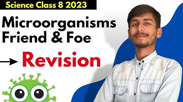 REVISION 🦠 | Microorganisms Friend & Foe | Class 8 Science chapter 2 NCERT
