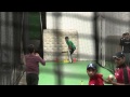 Mississauga Dolphins 2014: Practice 2014