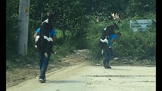 Günün en duygulandıran haberi! Yaralı buzağıyı sırtında böyle taşıdı