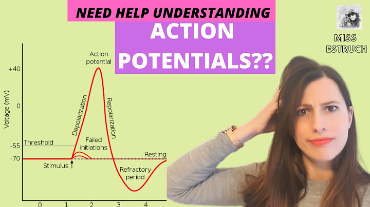 Do bipolar cells generate action potentials