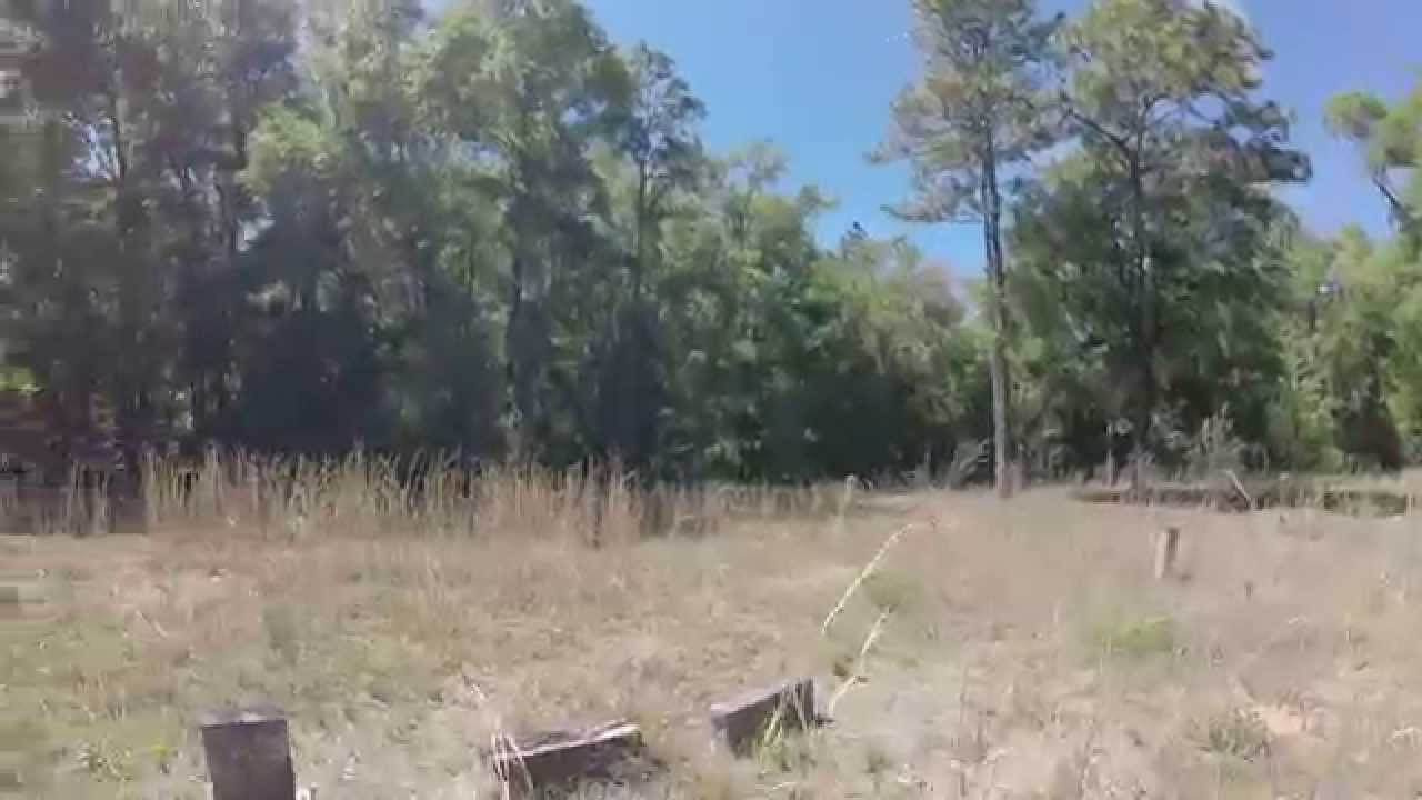 Exploring Shiloh Cemetery in Withlacoochee State Forest YouTube